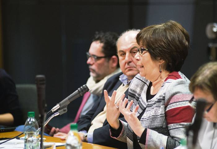 Marina Arismandi, ayer, en la Comisión Especial de Población y Desarrollo de Diputados. · Foto: Andrés Cuenca