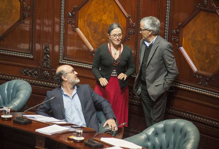 Marcos Otheguy, Patricia Ayala y Juan Castillo, ayer, en el Senado. · Foto: Federico Gutiérrez