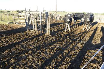 Establecimiento rural en Canelones (archivo, abril de 2015).
Establecimiento rural en Canelones (archivo, abril de 2015).