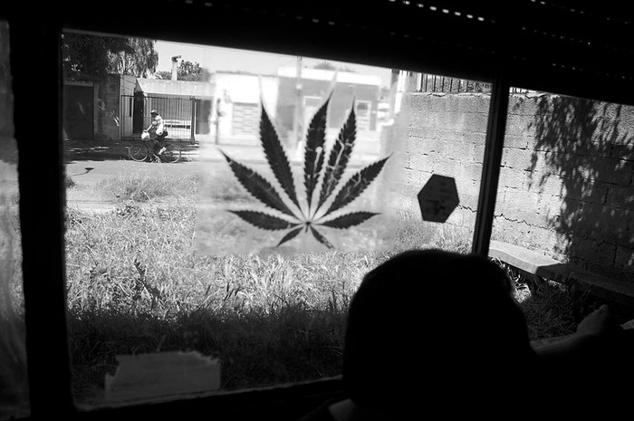 Sede de la Red de Usuarios de Drogas y Cultivadores de Cannabis del Uruguay. · Foto: Pablo Nogueira