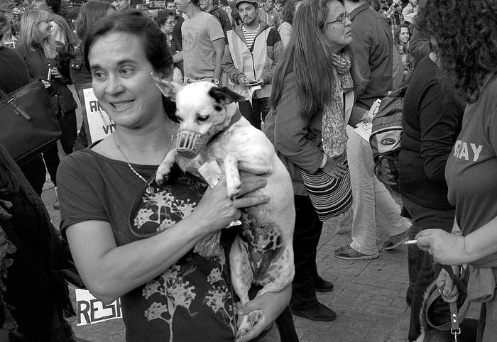 Concentración por el bienestar de los perros, el miércoles, en la explanada de la Intendencia de Montevideo. Foto: Mauricio Kühne