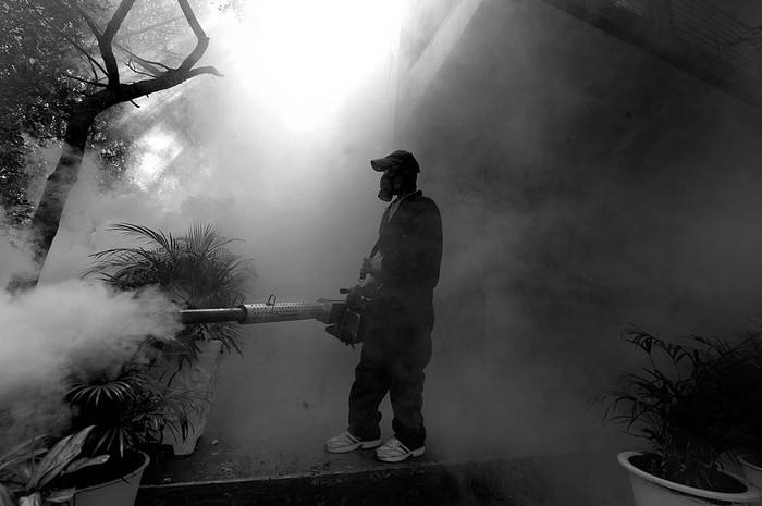 Personal del Ministerio de Salud de Honduras fumiga contra el mosquito Aedes aegypti, ayer en Tegucigalpa.Foto: Orlando Sierra, Afp