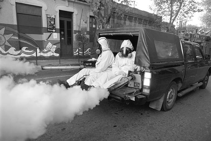 Fumigación en Pocitos, ayer. Foto: Santiago Mazzarovich