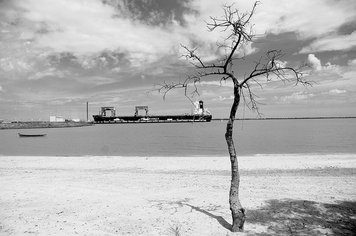 Nueva Palmira. Foto: Pablo Nogueira (archivo, noviembre de 2012)