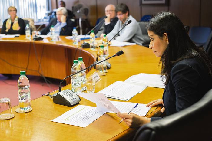 Verónica Alonso, ayer, en la comisión investigadora sobre financiamiento de los partidos políticos.  · Foto: Pablo Vignali