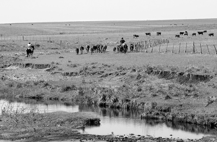 Trabajadores rurales. (archivo, marzo de 2012) · Foto: Sandro Pereyra