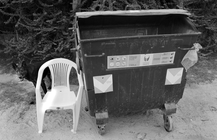 Contenedor de basura en Lagomar. Foto: Sandro Pereyra (archivo, marzo de 2014)