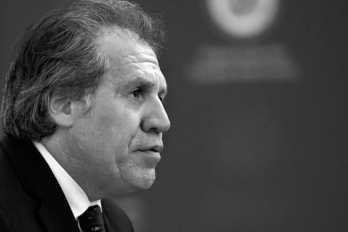 Luis Almagro, el miércoles, en la sede de la Organización de Estados Americanos. Foto: Lenin Nolly, Efe