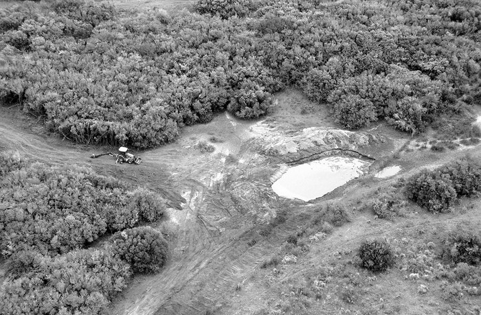 Tala de monte nativo en el departamento de Canelones. Foto: Intendencia de Canelones, s/d de Autor