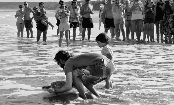 Liberación de tortugas, ayer en La Coronilla, Rocha. Foto: Karumbé, s/d de Autor