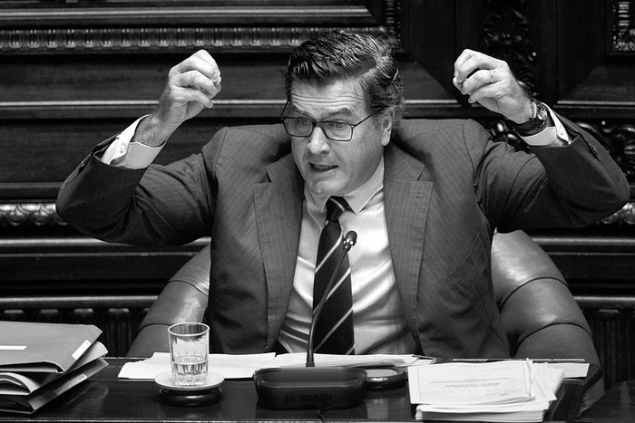 Pedro Bordeberry durante la sesión de ayer en la Cámara de Senadores. Foto: Santiago Mazzarovich