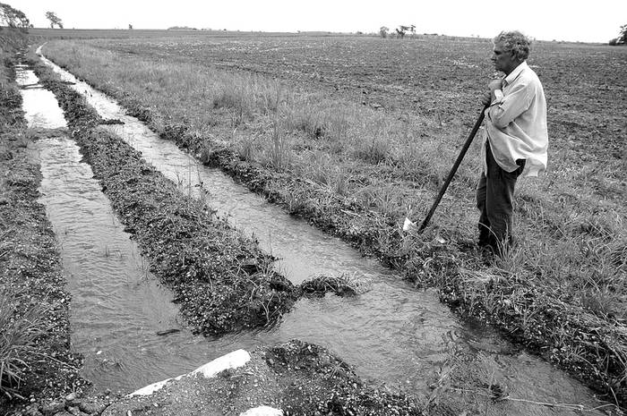 Establecimiento agropecuario en el departamento de Artigas. Foto: Sandro Pereyra (archivo, enero de 2008)