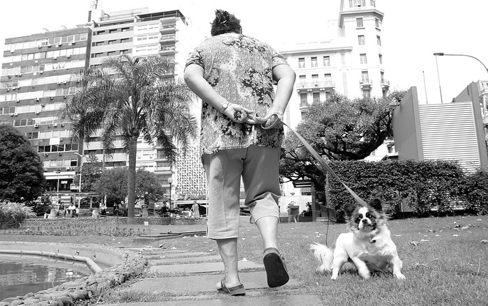 Plaza del Entrevero. Foto: Pablo Nogueira (archivo, marzo de 2014)
