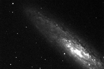 Galaxia del Escultor, registrada desde el observatorio astronómico del Centro Universitario
de la Región Este, Rocha.Foto: s/d de Autor Galaxia del Escultor, registrada desde el observatorio astronómico del Centro Universitario
de la Región Este, Rocha.Foto: s/d de Autor
