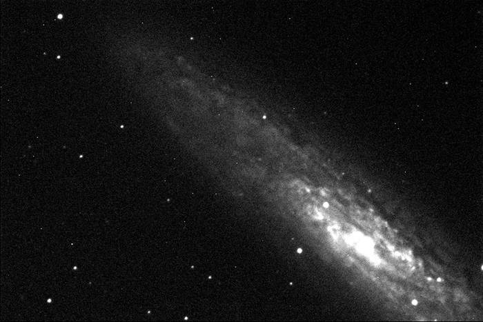 Galaxia del Escultor, registrada desde el observatorio astronómico del Centro Universitario
de la Región Este, Rocha.Foto: s/d de Autor