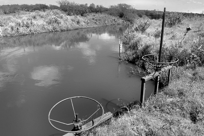 Canal de riego, próximo al río Cebollatí, en Rocha. Foto: Sandro Pereyra (archivo, enero de 2017)