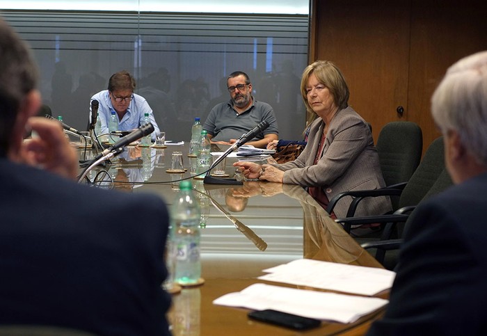 Mirtha Guianze, ayer, en la comisión investigadora de actividades de espionaje clandestino en democracia. Foto: Pablo Vignali