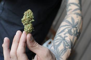 Expocannabis 2017, en el LATU. Expocannabis 2017, en el LATU.