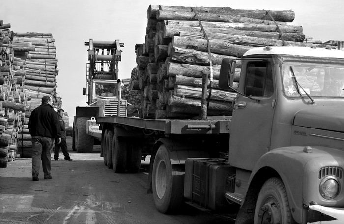 Madera en el Puerto de Montevideo. (archivo, junio de 2007) · Foto: Javier Calvelo