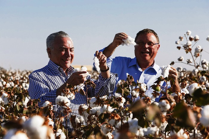 Michel Temer y el ministro de Agricultura brasileño, Blairo Maggi, durante la inauguración de la cosecha de algodón en Mato Grosso. Foto: Alan Santos, Agencia Brasil