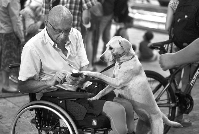 Gabriel Tate y su perra Blondie, el viernes en la explanada de la Intendencia de Montevideo, al llegar a la marcha por el Día Internacional de los Derechos de las Personas con Discapacidad. Foto: Federico Gutiérrez