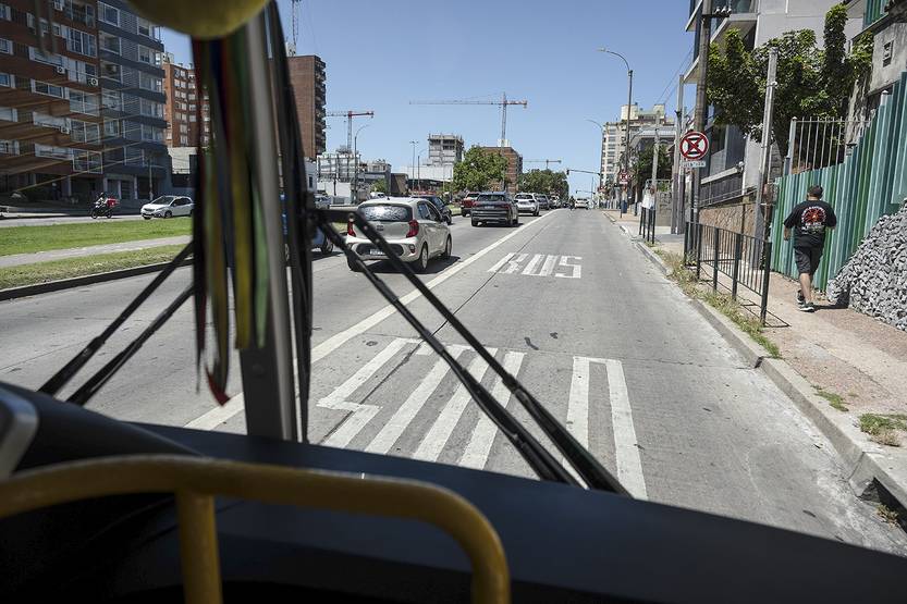 20260117 p6-7f1 seg vial