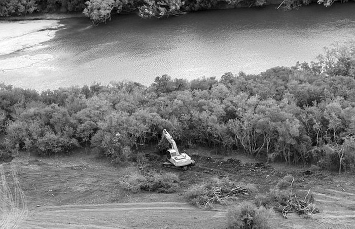 Tala de monte nativo a orillas del río Santa Lucía, cerca de pueblo Bolívar, en el departamento
de Canelones. Foto: Intendencia de Canelones, s/d de Autor