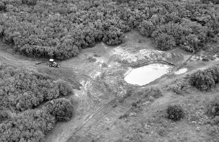 Tala de monte nativo en la cuenca del río Santa Lucía, en el departamento de Canelones.
Foto: Intendencia de Canelones (archivo, octubre de 2015)