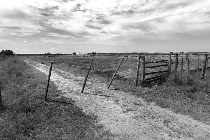 Campo en Canelones. Foto: Andrés Cuenca (archivo, febrero de 2017)