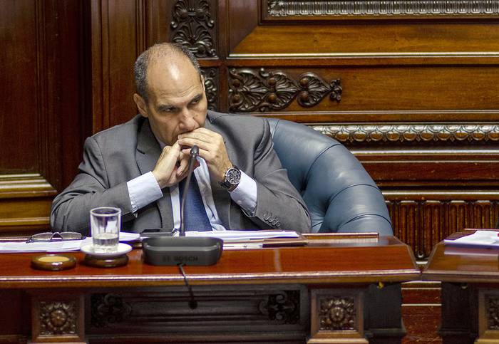 Daniel Bianchi durante la sesión de la Cámara de Senadores (archivo, abril 2019).  · Foto: Pablo Vignali, adhocFOTOS