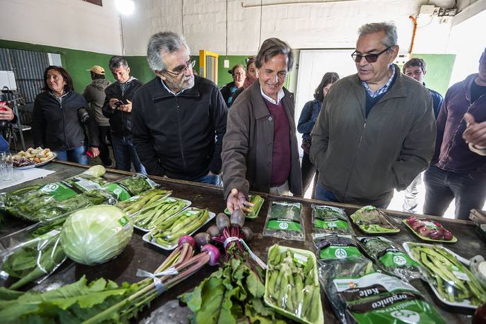 Daniel Silveira, Federico Monte y Enzo Benech, en la Cooperativa Agraria Punto Verde, en San Bautista, Canelones.  · Foto: Federico Gutiérrez