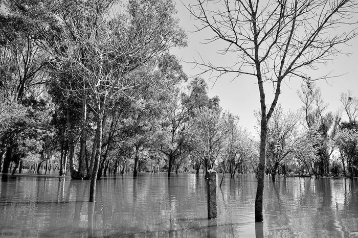 Parque Olimar, Treinta y Tres. Foto: Javier Calvelo (archivo, setiembre de 2013)