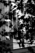 Intervención de Juan Ángel Urruzola en el Teatro Solís con la imagen del escritor uruguayo Juan Carlos Onetti y la inscripción "Onetti es Montevideo". / Foto: Fernando Morán (archivo, mayo de 2009).