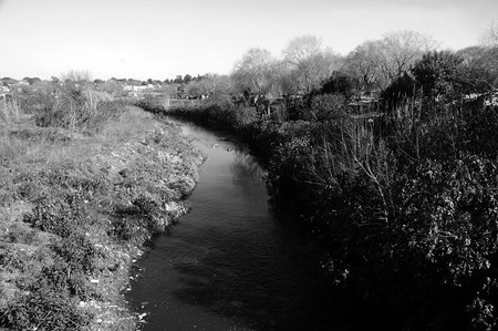 Ribera del arroyo Miguelete desde el puente sobre la calle José María Silva, al costado del Cementerio del Norte. / Foto: Ricardo Antúnez (archivo, julio de 2010) Ribera del arroyo Miguelete desde el puente sobre la calle José María Silva, al costado del Cementerio del Norte. / Foto: Ricardo Antúnez (archivo, julio de 2010)