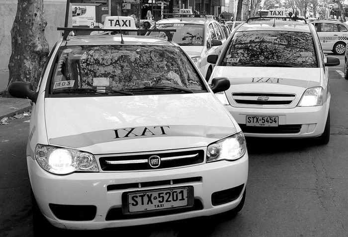Taxis montevideanos. (archivo, mayo de 2013) · Foto: Pablo Nogueira