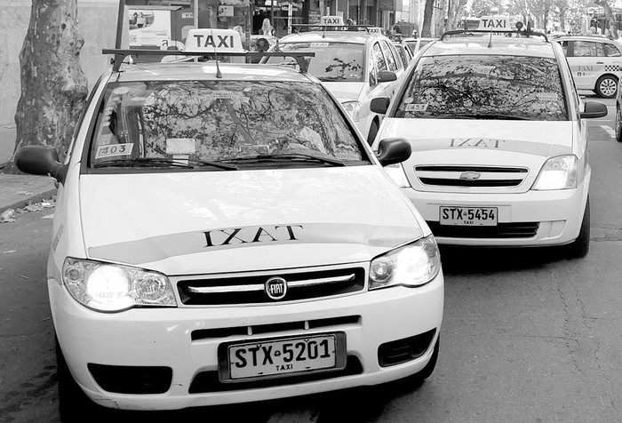 Taxis montevideanos. Foto: Pablo Nogueira (archivo, mayo de 2013)