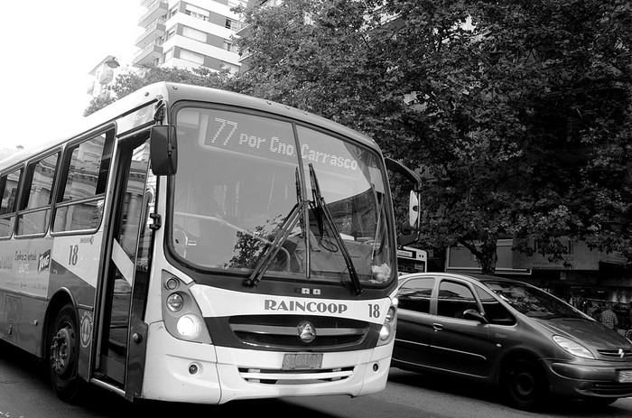 Foto: Pablo Vignali