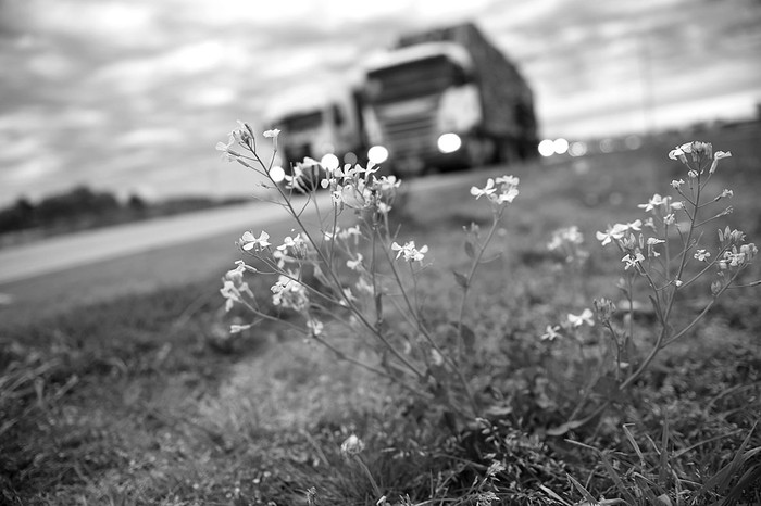 Ruta 5. Foto: Nicolás Celaya (archivo, octubre de 2014)