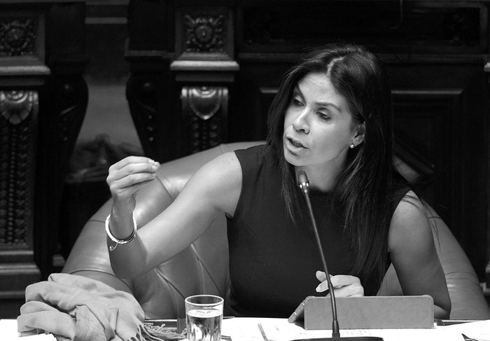 Verónica Alonso en la Cámara de Senadores. Foto: Santiago Mazzarovich (archivo, marzo de 2016)