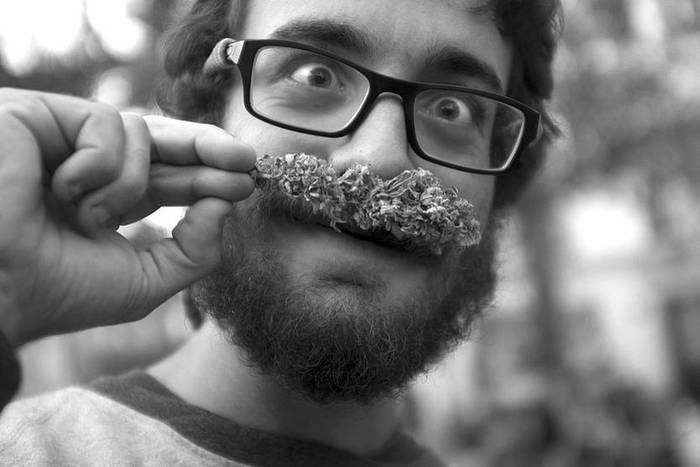 Marcha Mundial por la Marihuana, en la plaza Cagancha. Foto: Adrian Mariotti (archivo, mayo de 2017)