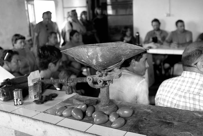 Reunión de pequeños productores de la localidad La Armonía, Canelones. Foto: Pablo Vignali (archivo, enero de 2017)