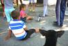 Actividad de Tecno Verano, en el barrio La Teja (archivo, febrero de 2018).
Actividad de Tecno Verano, en el barrio La Teja (archivo, febrero de 2018).