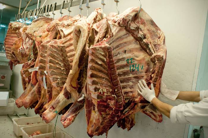 Foto principal del artículo 'China devuelve carne a Brasil por caso de “vaca loca”' · Foto: Ricardo Antúnez, adhocFOTOS
