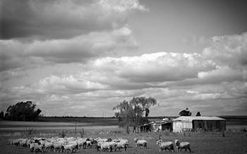 Establecimiento rural en el noreste del departamento de Canelones. (archivo, abril de 2013) Establecimiento rural en el noreste del departamento de Canelones. (archivo, abril de 2013)