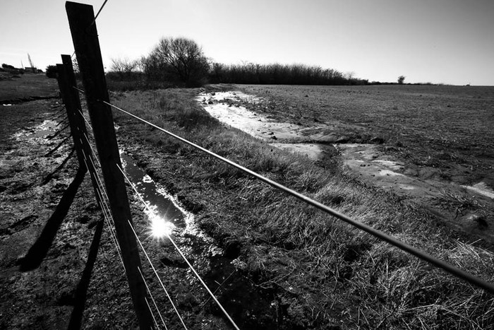 Terreno en la localidad de Villa Ituzaingó (departamento de San José) dedicado a la siembra de soja. / Foto: Sandro Pereyra (archivo, julio de 2014)