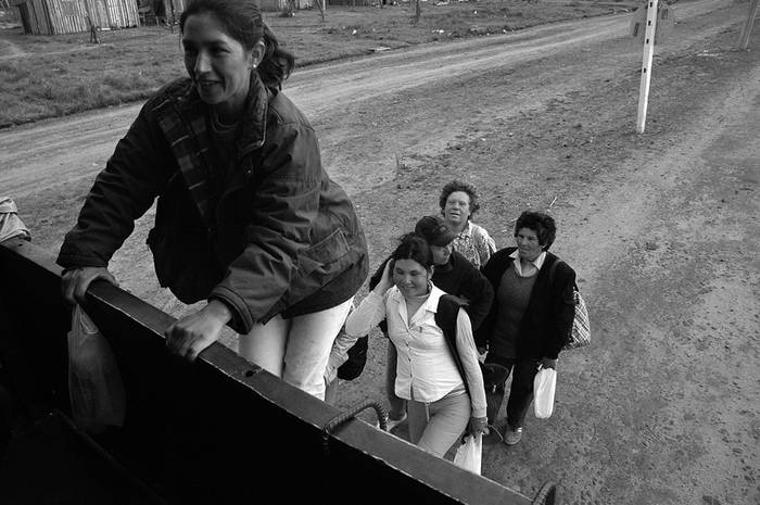 Trabjadoras que participan en la siembra de caña de azúcar en Bella Unión. (archivo, setiembre de 2006) · Foto: Sandro Pereyra