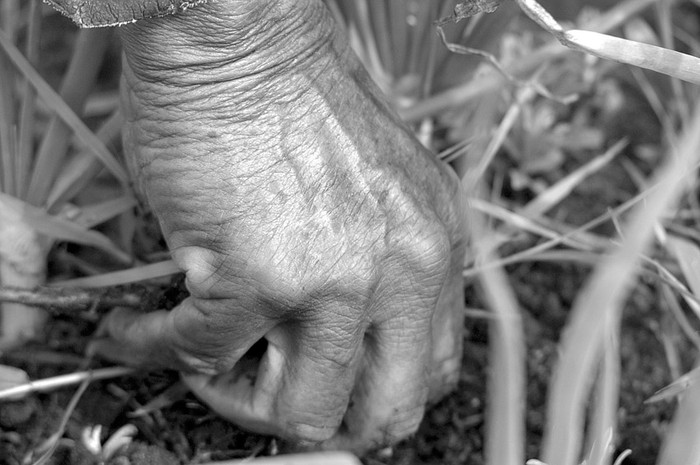 Trabajador rural. / (archivo, octubre de 2006) · Foto: Sandro Pereyra