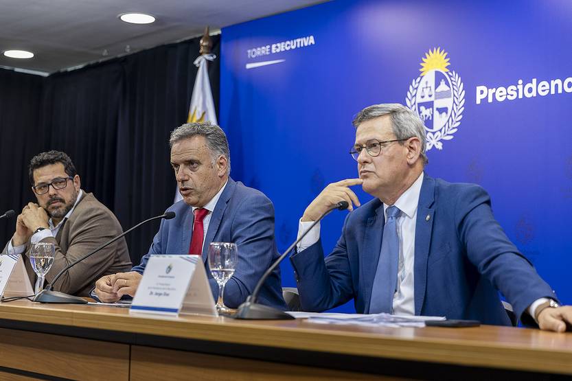 20251101 p7 cp cardama