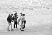 Jornada internacional de limpieza de costas, el sábado, en las playas de Montevideo y Ciudad de la Costa. Foto: Federico Gutiérrez