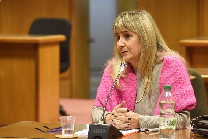 Mariana Blengio en la Comisión Bicameral de Derechos Humanos del Parlamento (archivo, julio de 2020). · Foto: Federico Gutiérrez